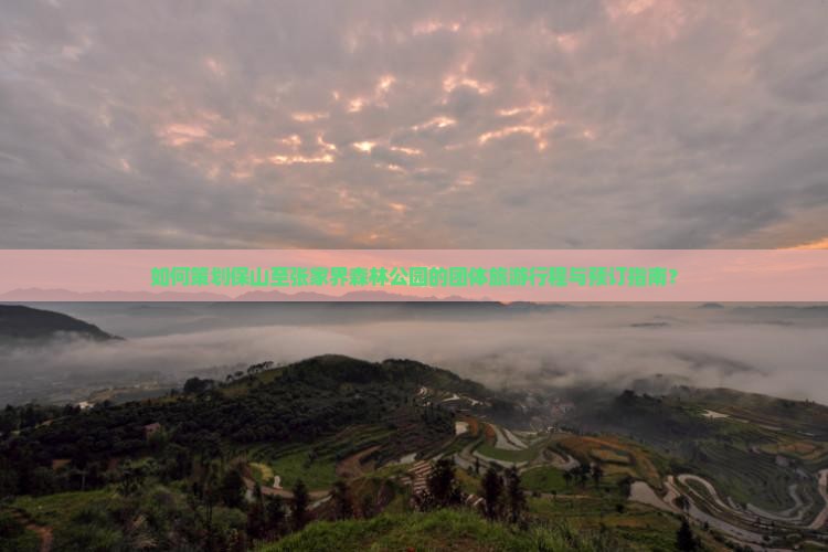 如何策划保山至张家界森林公园的团体旅游行程与预订指南？