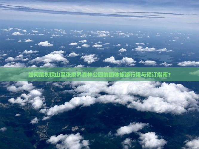 如何策划保山至张家界森林公园的团体旅游行程与预订指南？