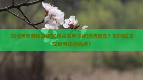 为何迪庆游客去张家界袁家界景点遭遇难题？如何解决交通与住宿痛点？