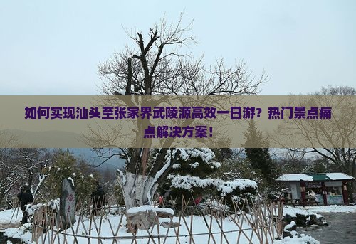 如何实现汕头至张家界武陵源高效一日游？热门景点痛点解决方案！