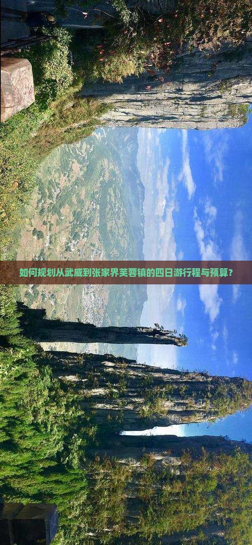如何规划从武威到张家界芙蓉镇的四日游行程与预算？