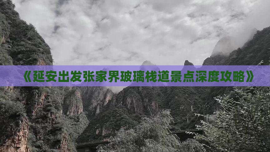 《延安出发张家界玻璃栈道景点深度攻略》