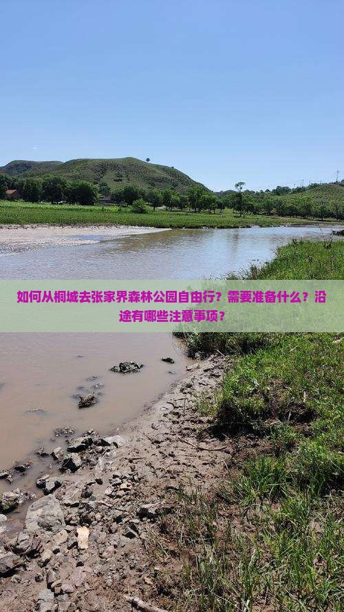 如何从桐城去张家界森林公园自由行？需要准备什么？沿途有哪些注意事项？