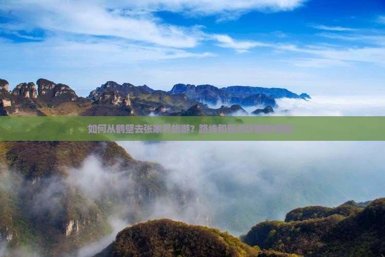 如何从鹤壁去张家界旅游？路线和景点攻略有哪些？