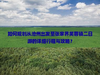 如何规划从沧州出发至张家界芙蓉镇二日游的详细行程与攻略？