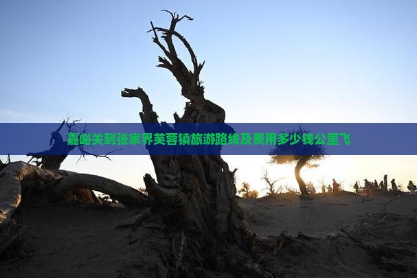 嘉峪关到张家界芙蓉镇旅游路线及费用多少钱公里飞