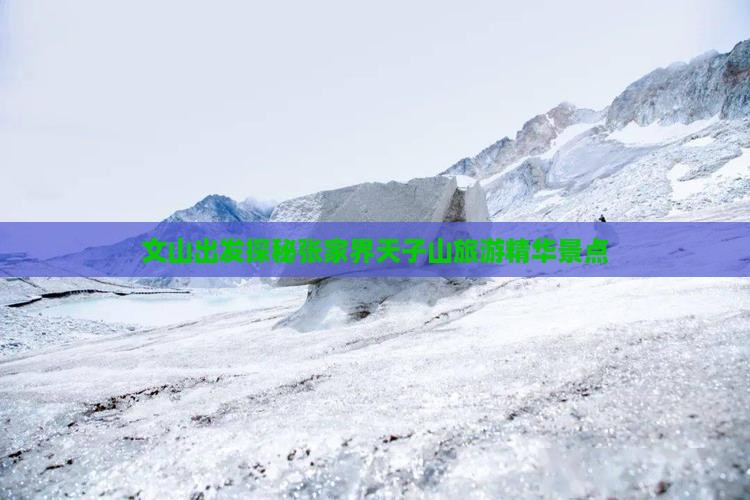 文山出发探秘张家界天子山旅游精华景点