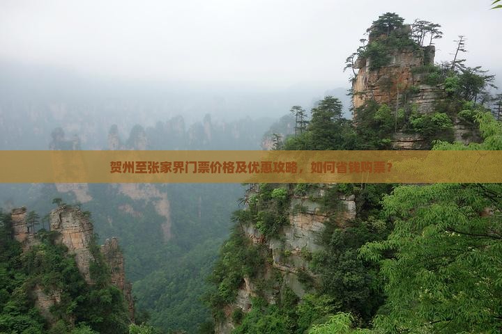 贺州至张家界门票价格及优惠攻略，如何省钱购票？