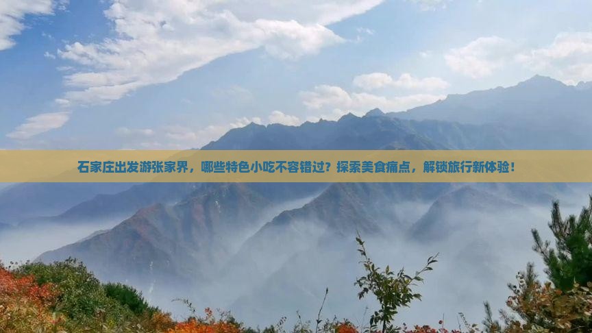 石家庄出发游张家界，哪些特色小吃不容错过？探索美食痛点，解锁旅行新体验！