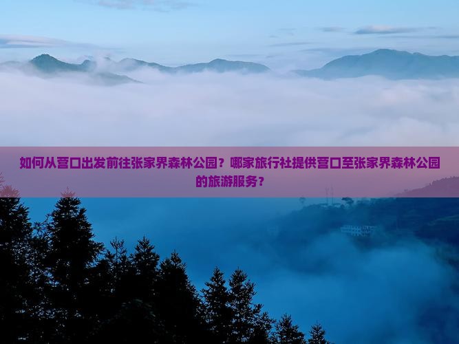 如何从营口出发前往张家界森林公园？哪家旅行社提供营口至张家界森林公园的旅游服务？