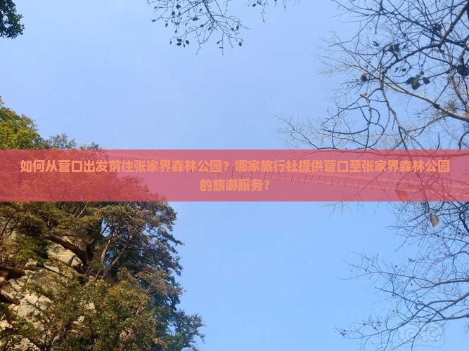 如何从营口出发前往张家界森林公园？哪家旅行社提供营口至张家界森林公园的旅游服务？