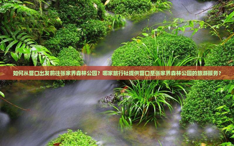 如何从营口出发前往张家界森林公园？哪家旅行社提供营口至张家界森林公园的旅游服务？