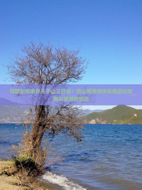 铜陵到张家界天子山三日游？担心费用缚快来看避坑指南与旅游新趋势