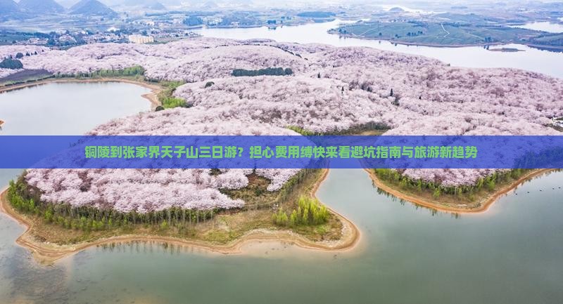铜陵到张家界天子山三日游？担心费用缚快来看避坑指南与旅游新趋势