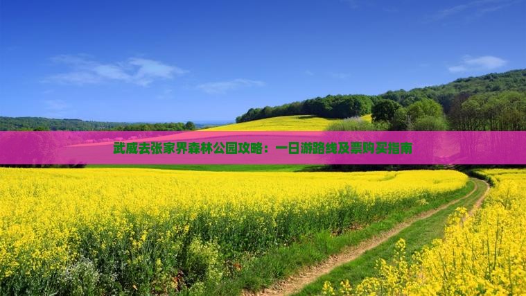 武威去张家界森林公园攻略：一日游路线及票购买指南