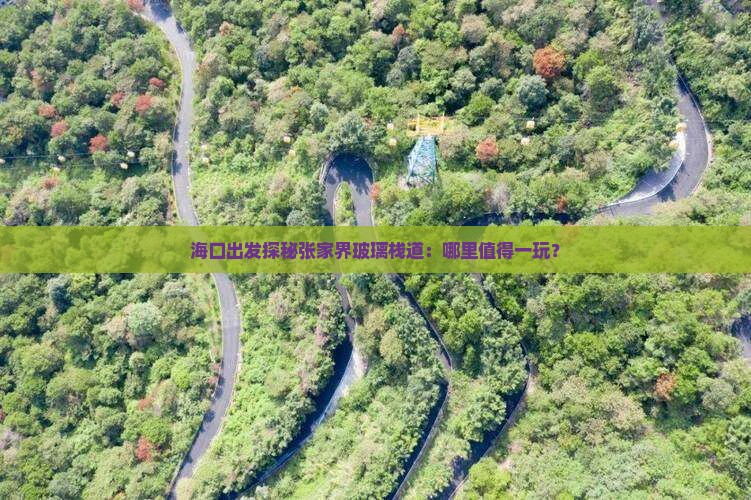 海口出发探秘张家界玻璃栈道：哪里值得一玩？