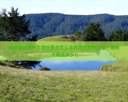 诸城去张家界大峡谷景点怎么卓有哪些路线选择？费用大概是多少？