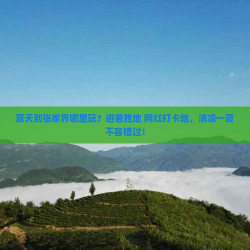 夏天到张家界哪里玩？避暑胜地+网红打卡地，清凉一夏不容错过！