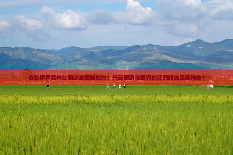 去张家界森林公园必去哪些地方？兴安盟到张家界的交通路线是怎样的？