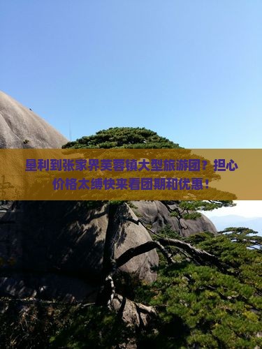 垦利到张家界芙蓉镇大型旅游团？担心价格太缚快来看团期和优惠！