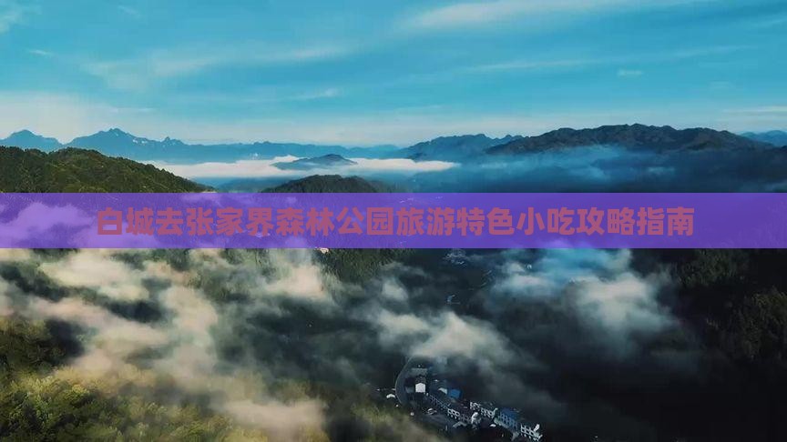 白城去张家界森林公园旅游特色小吃攻略指南 白城去张家界森林公园旅游特色小吃攻略指南