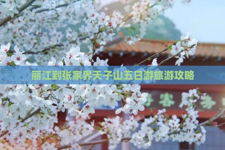 丽江到张家界天子山五日游旅游攻略