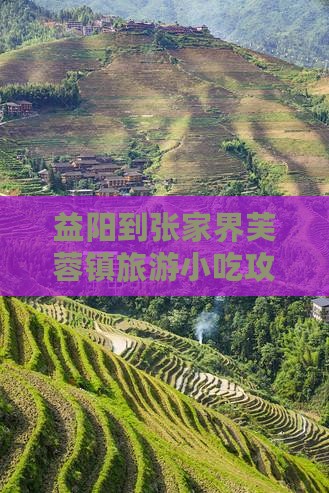 益阳到张家界芙蓉镇旅游小吃攻略与路线指引