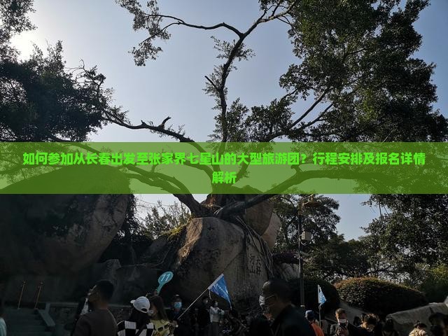 如何参加从长春出发至张家界七星山的大型旅游团？行程安排及报名详情解析