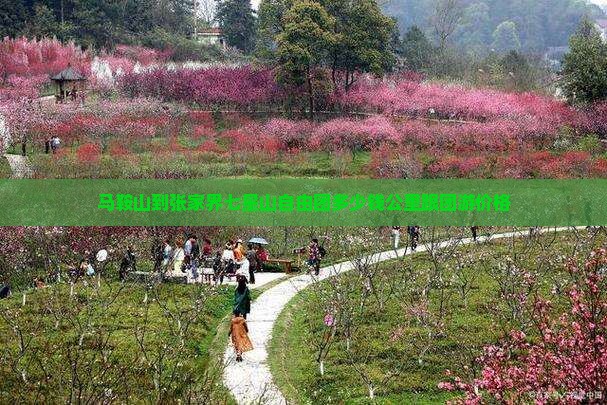马鞍山到张家界七星山自由团多少钱公里跟团游价格