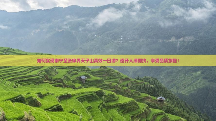 如何实现南宁至张家界天子山高效一日游？避开人潮拥挤，享受品质旅程！