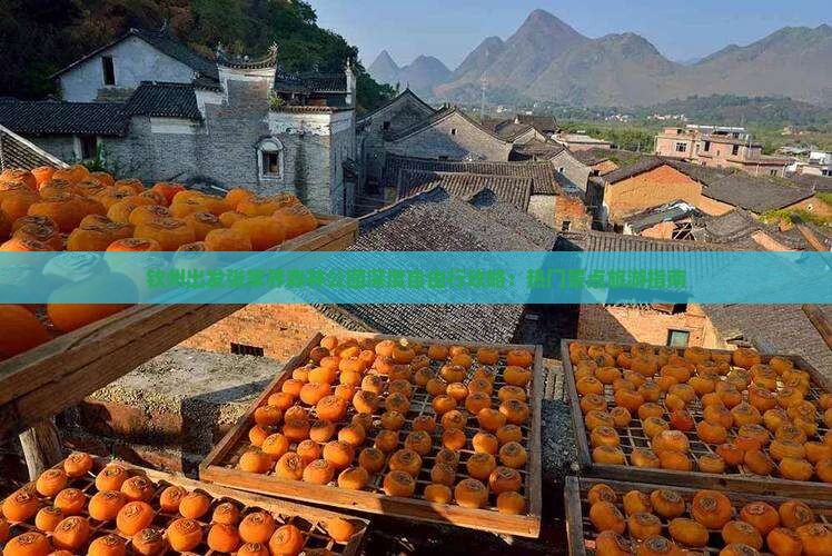 钦州出发张家界森林公园深度自由行攻略：热门景点旅游指南