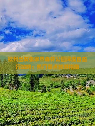 钦州出发张家界森林公园深度自由行攻略：热门景点旅游指南