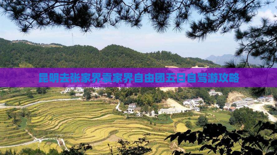 昆明去张家界袁家界自由团五日自驾游攻略