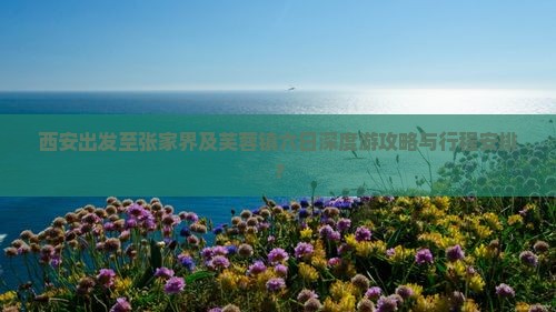 西安出发至张家界及芙蓉镇六日深度游攻略与行程安排？