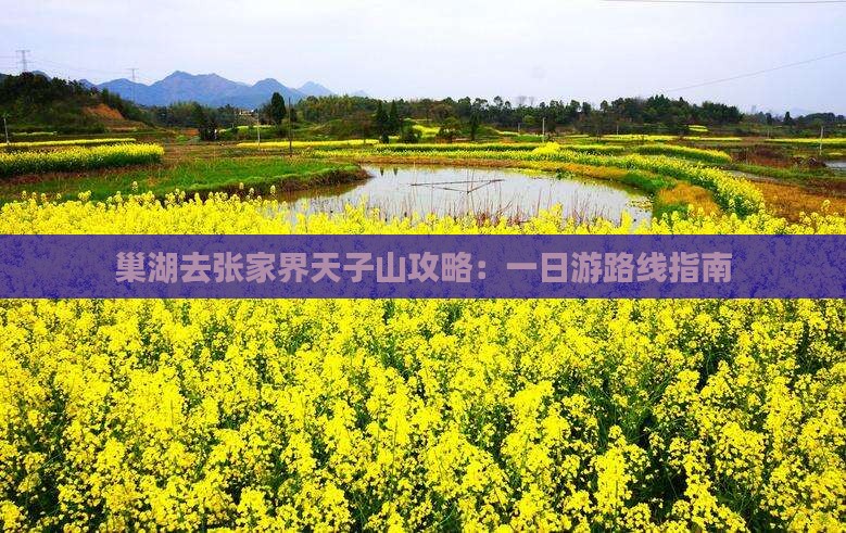巢湖去张家界天子山攻略：一日游路线指南