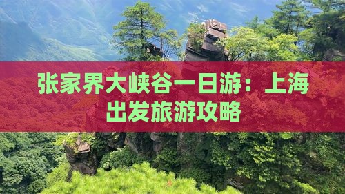 张家界大峡谷一日游：上海出发旅游攻略