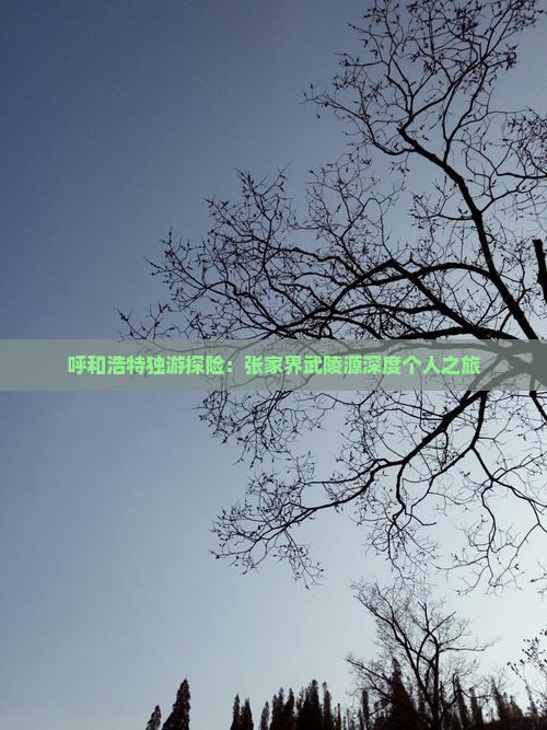 呼和浩特独游探险：张家界武陵源深度个人之旅
