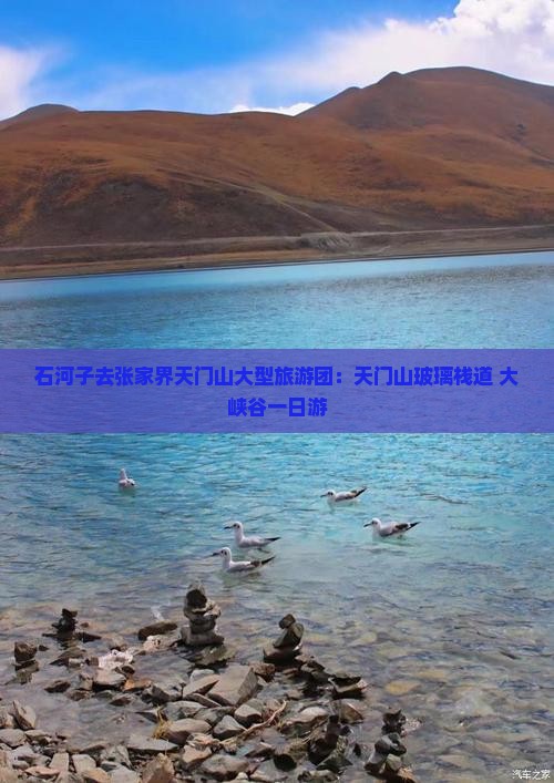 石河子去张家界天门山大型旅游团:天门山玻璃栈道+大峡谷一日游 石河子去张家界天门山大型旅游团:天门山玻璃栈道+大峡谷一日游