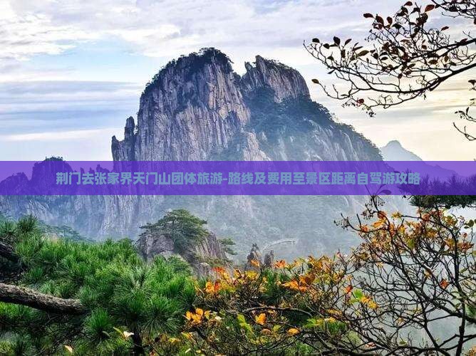 荆门去张家界天门山团体旅游-路线及费用至景区距离自驾游攻略