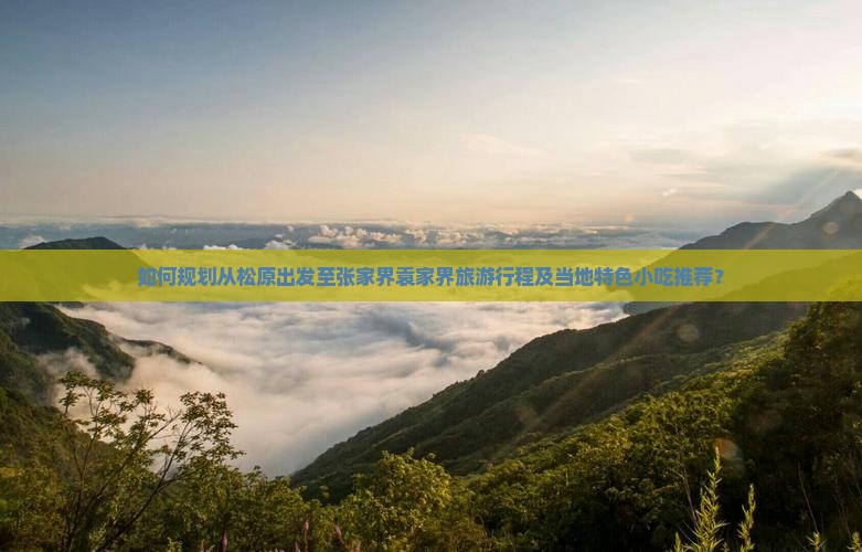 如何规划从松原出发至张家界袁家界旅游行程及当地特色小吃推荐？