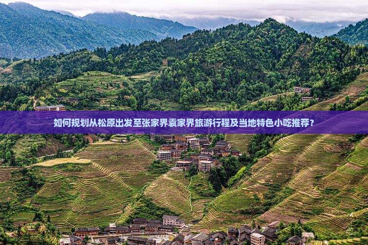 如何规划从松原出发至张家界袁家界旅游行程及当地特色小吃推荐？