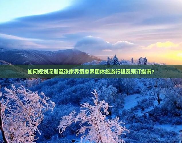 如何规划深圳至张家界袁家界团体旅游行程及预订指南？