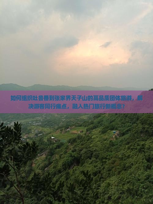 如何组织吐鲁番到张家界天子山的高品质团体旅游，解决游客同行痛点，融入热门旅行新概念？