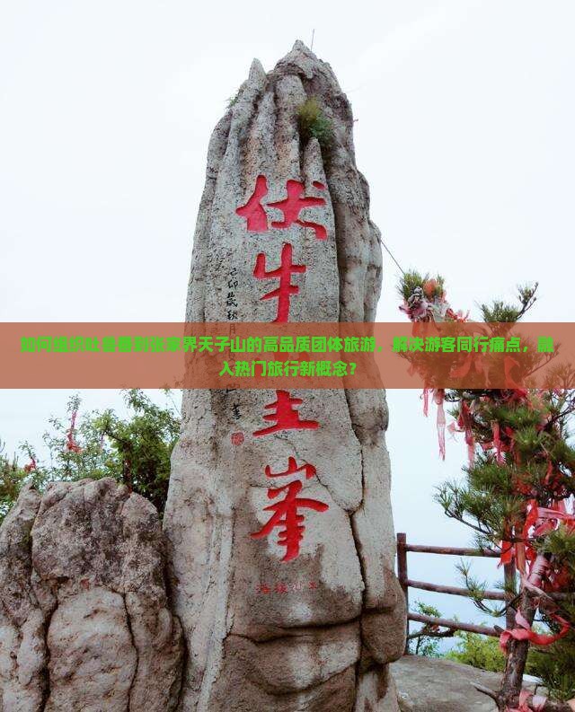 如何组织吐鲁番到张家界天子山的高品质团体旅游，解决游客同行痛点，融入热门旅行新概念？