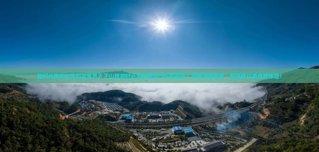 如何从雅安出发到张家界天子山旅游时必尝的地道小吃有哪些？聚焦游客痛点，解锁网红美食新体验！