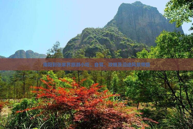 南阳到张家界旅游小吃、自驾、攻略及沿途风景带路