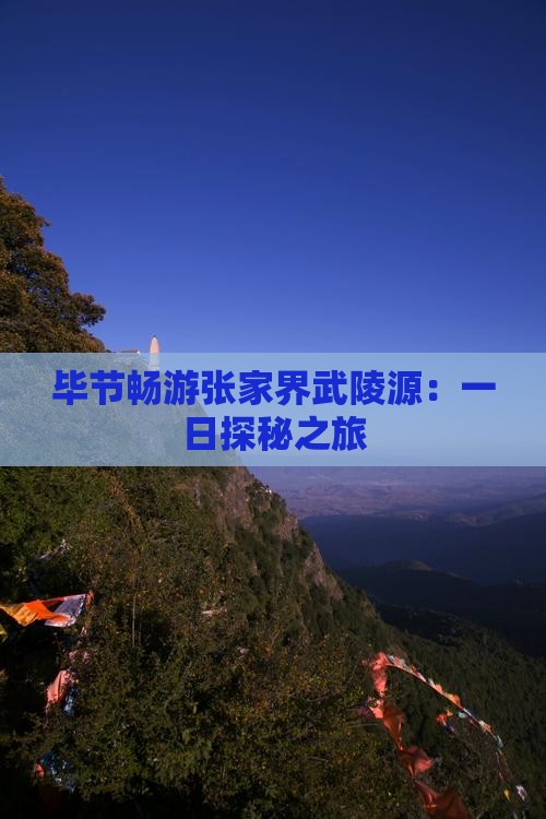 毕节畅游张家界武陵源：一日探秘之旅