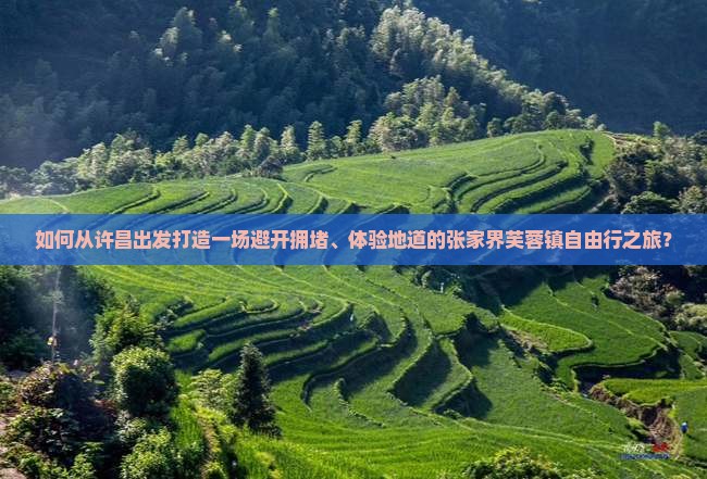 如何从许昌出发打造一场避开拥堵、体验地道的张家界芙蓉镇自由行之旅？