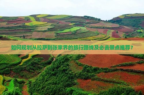 如何规划从拉萨到张家界的旅行路线及必去景点推荐？