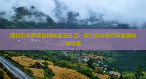 铜川到张家界玻璃栈道五日游：铜川旅游景点与玻璃栈道攻略